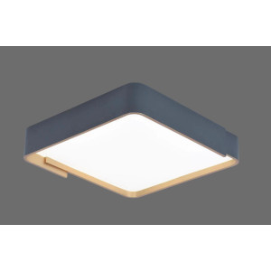 Потолочный светильник  F0724-36